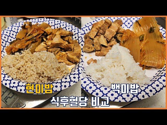 현미밥, 백미밥 그리고 김치찌개의 식후혈당 비교