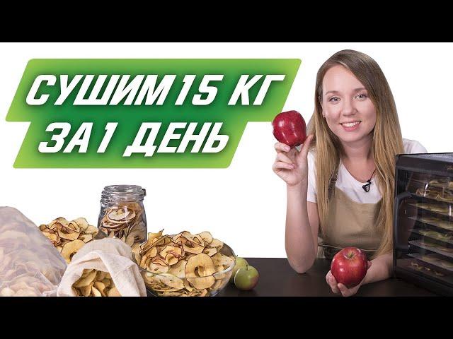 Как сушить яблоки на зиму? (быстро, много и просто!)