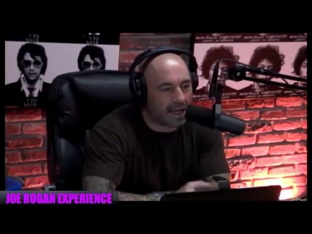 Vsauce Michael and Joe Rogan reflect after ingesting 17 tabs of LSD