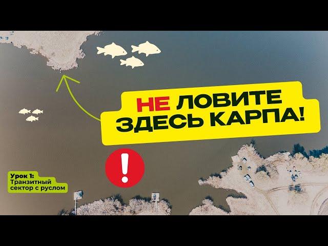 КАК и ГДЕ ЛОВИТЬ КАРПА? Практические советы и ошибки в карпфишинге!