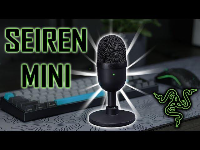 Razer Seiren Mini Review - Is It Worth $50!?