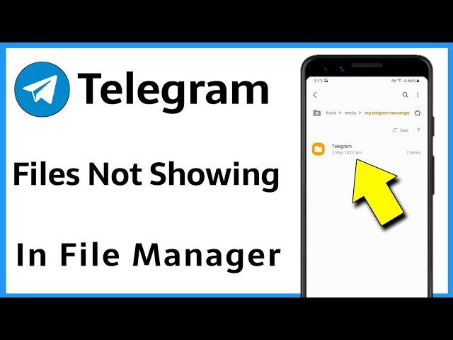 Telegram Files Not Showing In File Manager Android 11