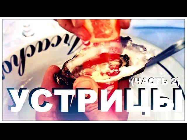 Галилео. Устрицы (часть 2)