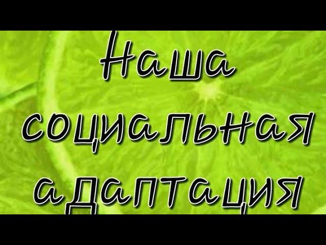 Адаптация в Польше. Наше окружение в Польше. С кем мы дружим и общаемся. Социальная адаптация.