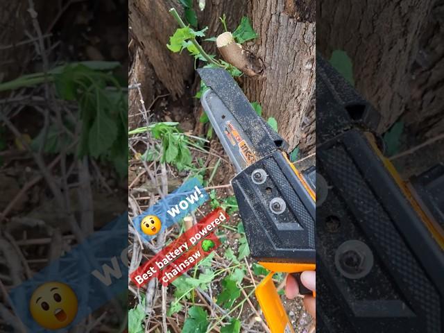 Best battery powered chainsaw. Powerful   powerd Ingco 20v saw #chainsaw #michaelstoolbench #ingco