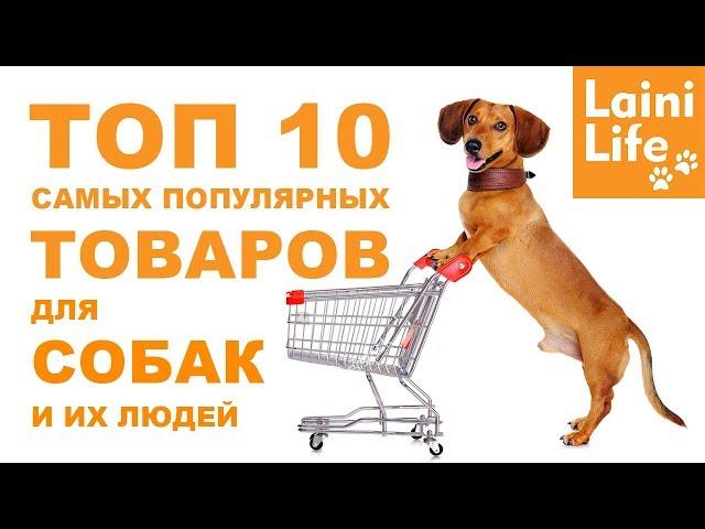 ТОП-10 товаров для собак