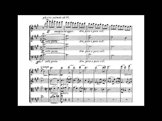 Borodin: String Quartet № 1—II. Andante con moto.