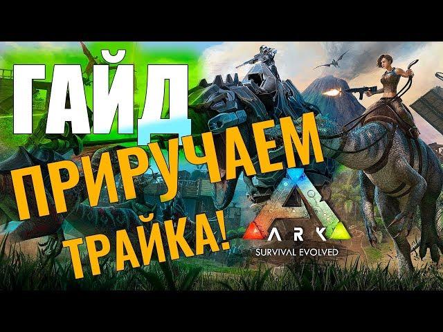 КАК ПРИРУЧИТЬ ТРАЙКА? #ГАЙД ДЛЯ НОВИЧКОВ! Ark: Survival Evolved #2