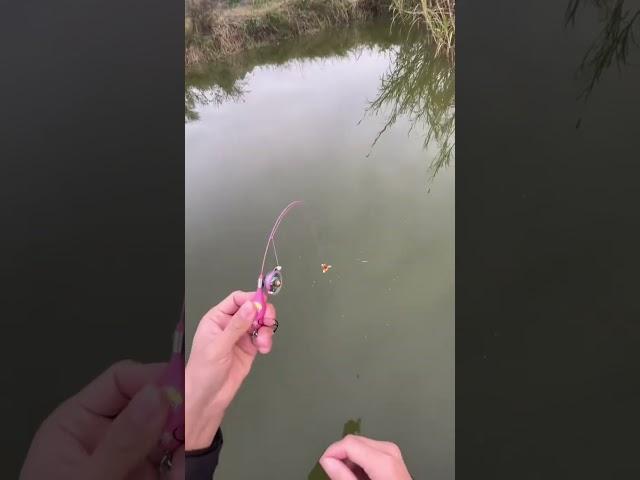#It's real tiny fishing! Not Ai!#FishingLife#microfishing#microfishingrod#tinyfishing#tinyfishingrod