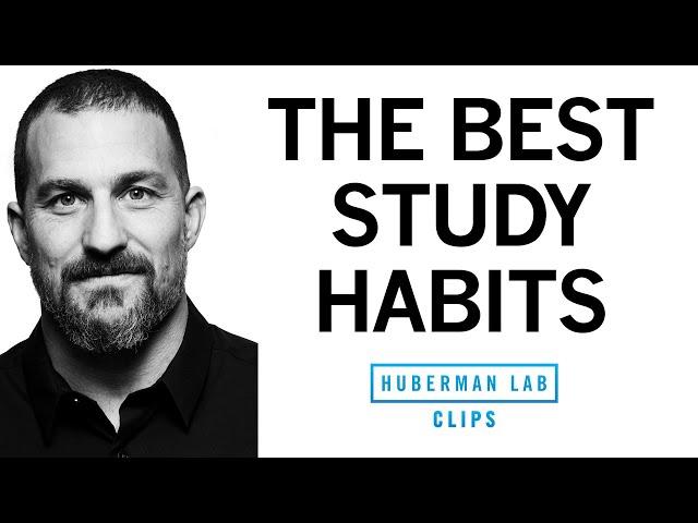 The Top Study Habits to Improve Learning | Dr. Andrew Huberman