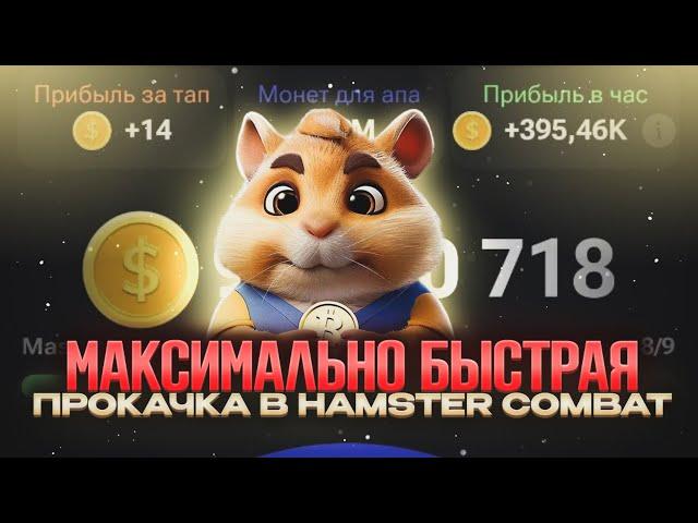 ПРОКАЧАЙ СВОЕГО ХОМЯКА НА МАКСИМУМ // HAMSTER KOMBAT