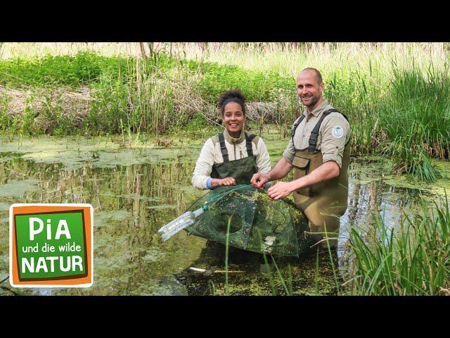 Auf Schatzsuche im Spreewald | Reportage für Kinder | Pia und die wilde Natur