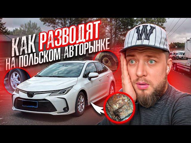 ВСЯ ПРАВДА О ПОЛЬСКОМ АВТОРЫНКЕ! ОБМАН ИЛИ РЕАЛЬНОСТЬ?