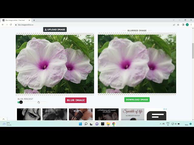 Blur Image Free online tool - imageonline.co
