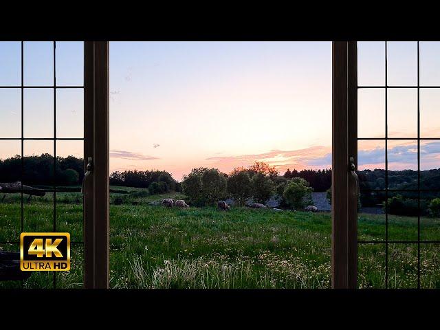 4K Countryside Evening Ambience Window view with Nature Sounds -  Relaxing, Calming, Sunset