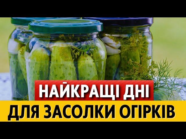 ДЛЯ ЗБЕРІГАННЯ ТА СМАКУ.  Місячний календар заготівлі огірків на липень та серпень 2024 року