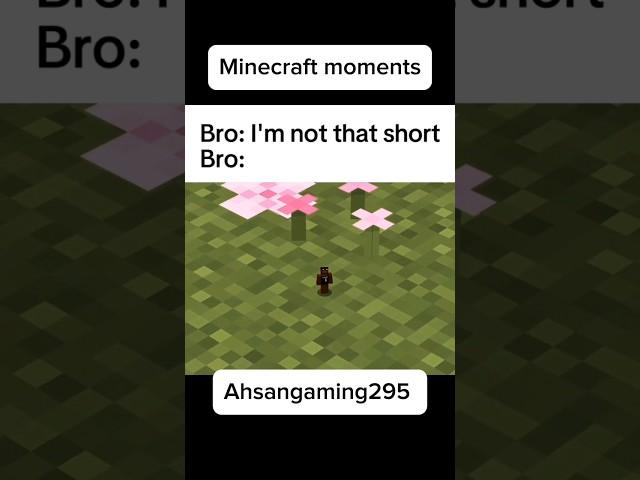 Minecraft moment #minecraftshorts #minecraft #memes #ahsangaming #minecraftjokes