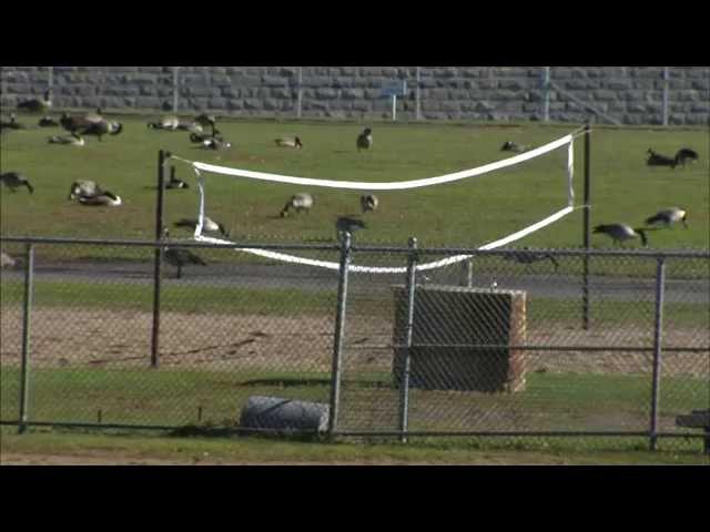 A rare look inside St  Cloud prison