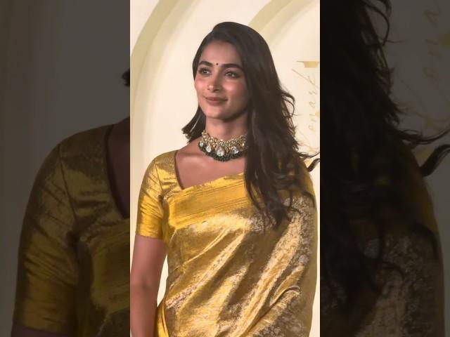 Pooja Hegde At Wedding Reception Of Konark & Niyati Exit Video