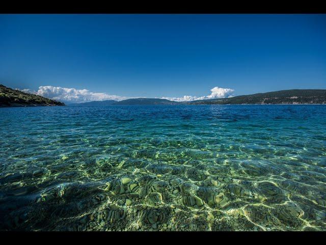 the sea in blender in one minute