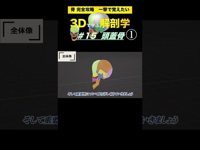 頭蓋骨の機能と全体像　#15  頭蓋骨【3Dで学ぶ解剖学】複雑な頭蓋骨の位置関係を理解しよう！　#頭蓋骨