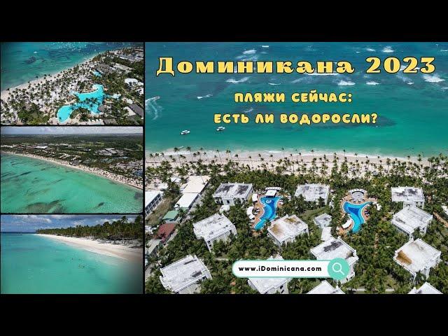 Доминикана сейчас: как выглядят пляжи, есть ли водоросли, где лучше отдыхать - iDominicana.com