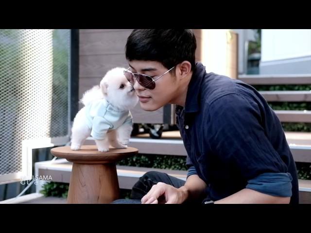 DOG KISS ฝึกหมาหอมแก้ม : MUJI SAMA