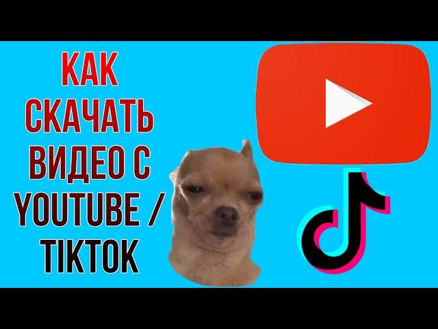 КАК СКАЧАТЬ ВИДЕО ИЗ ЮТУБ/ТИКТОК на Android и IOS