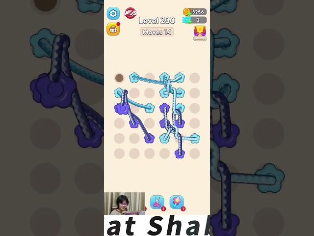 Tangle Rope 3D: Untie Master All Levels | Let's Play Level 230