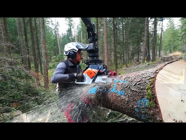 Stihl MS500i