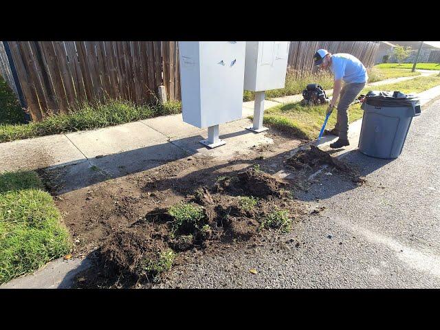 INJURED Homeowner UNABLE to Keep Up with Lawn gets SURPRISE TRANSFORMATION