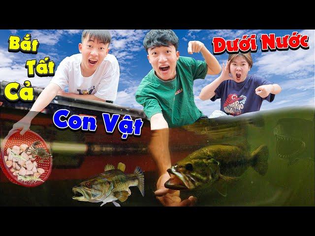 Thử Thách Bắt Tất Cả Các Con Vật Dưới Nước - Ai Bắt Giỏi Hơn ? | Anh Tóc Xoăn