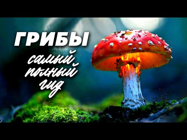 Грибы. Самый полный гид. Съедобные и несъедобные, необычные и лечебные, где собирать и как готовить