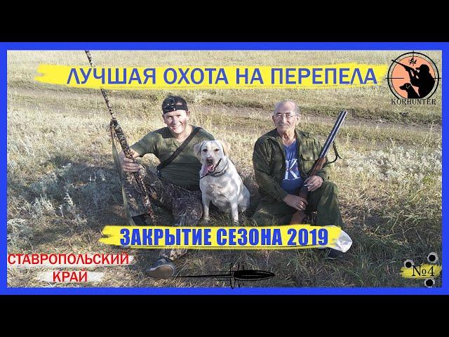 Самая лучшая охота на перепела с лабрадором в Ставропольском крае. Часть 2