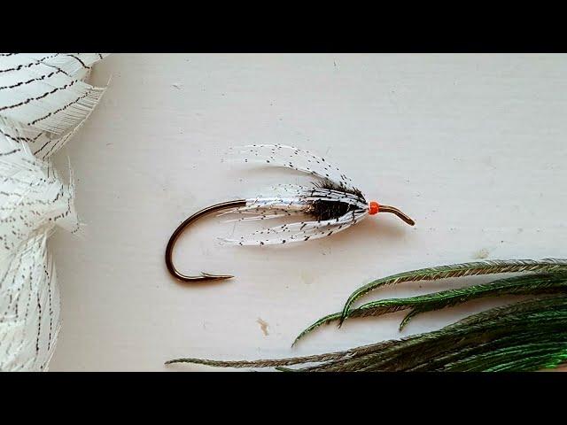 Grand Spider  (Silver Pheasant)