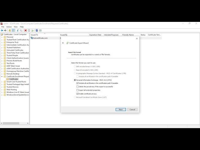 How to export certificate with private key