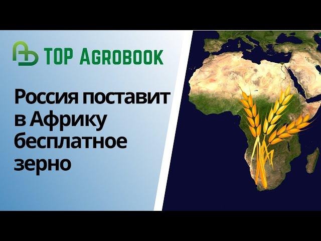 Россия поставит в Африку бесплатное зерно | TOP Agrobook: обзор аграрных новостей