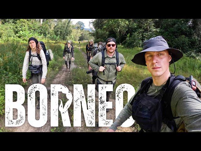 Dschungel-Expedition: Mein erster Skorpionsstich  (Mit der Gang!) | Borneo | Ep.1