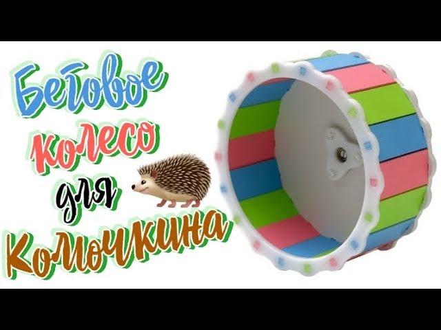 Colorful running wheel for the hedgehog Kolyuchkina