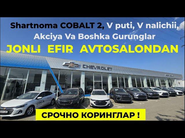 Cobalt 2 Шартнома Качон Очилади! Охирги Янгиликлар Amin Mulla Автосалондан#автосалон_янгиликлари#