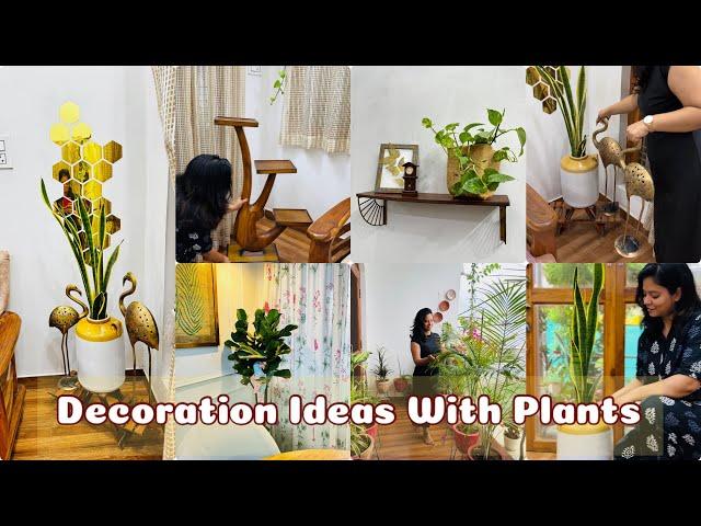 Gorgeous Decor Ideas with Plants that Instantly add Style in your Home 