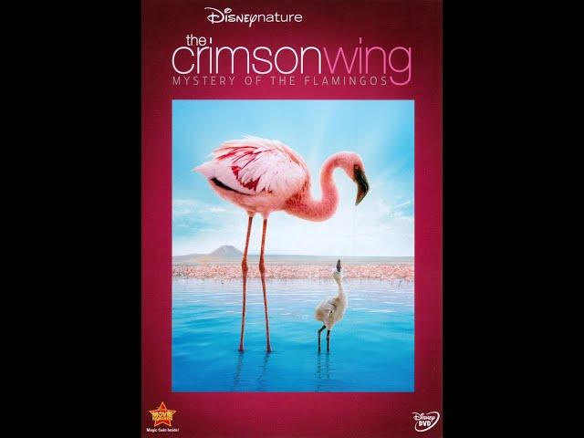 The Crimson Wing: Mystery of the Flamingos 2010 DVD Overview