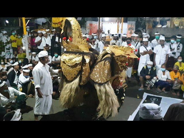 Barong Swari Semeton Agung Putra Dewata