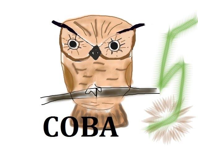 сова картинки стихи owl слайдшоу смотреть онлайн