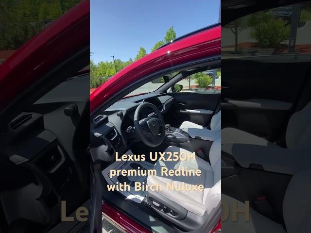 2023 Lexus UX250H premium Redline with Birch Nuluxe interior