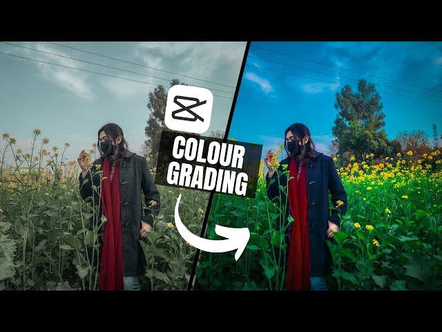 DO THIS LIKE A PRO! How to do cinematic color grading in capcut [EASY STEPS]