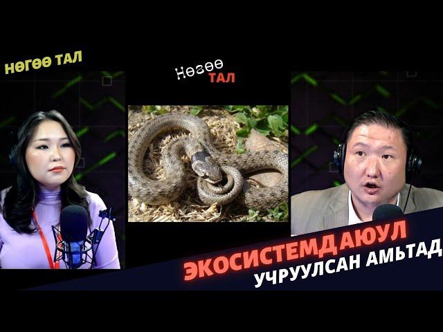 Нөгөө тал | 2024-02-01 | Хүн амьтад хоорондын дайн