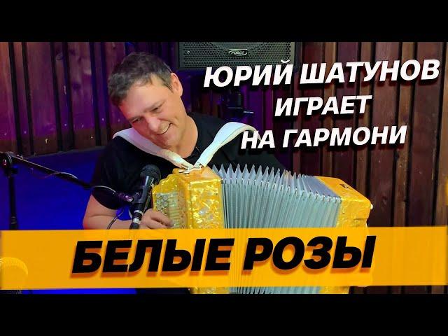 ЮРИЙ ШАТУНОВ играет БЕЛЫЕ РОЗЫ