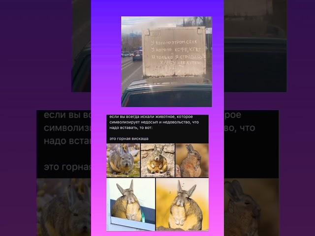 #мем #мемы #mem #юмор #прикол #memes