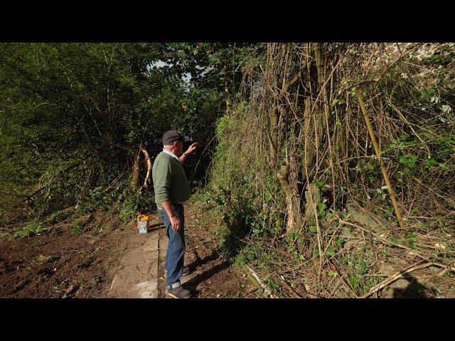 Uncovering a Hidden Entrance